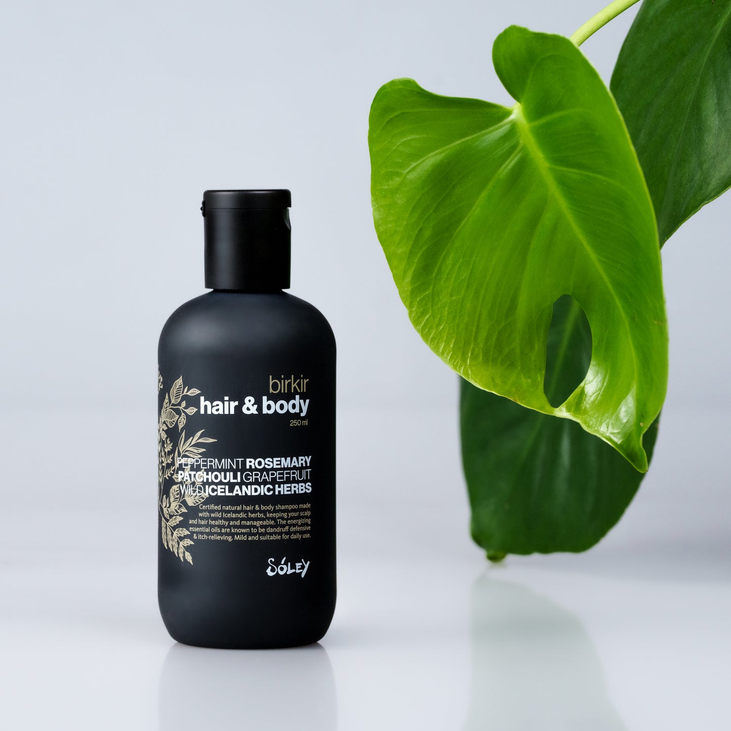 Birkir Hair and Body Cleanser
