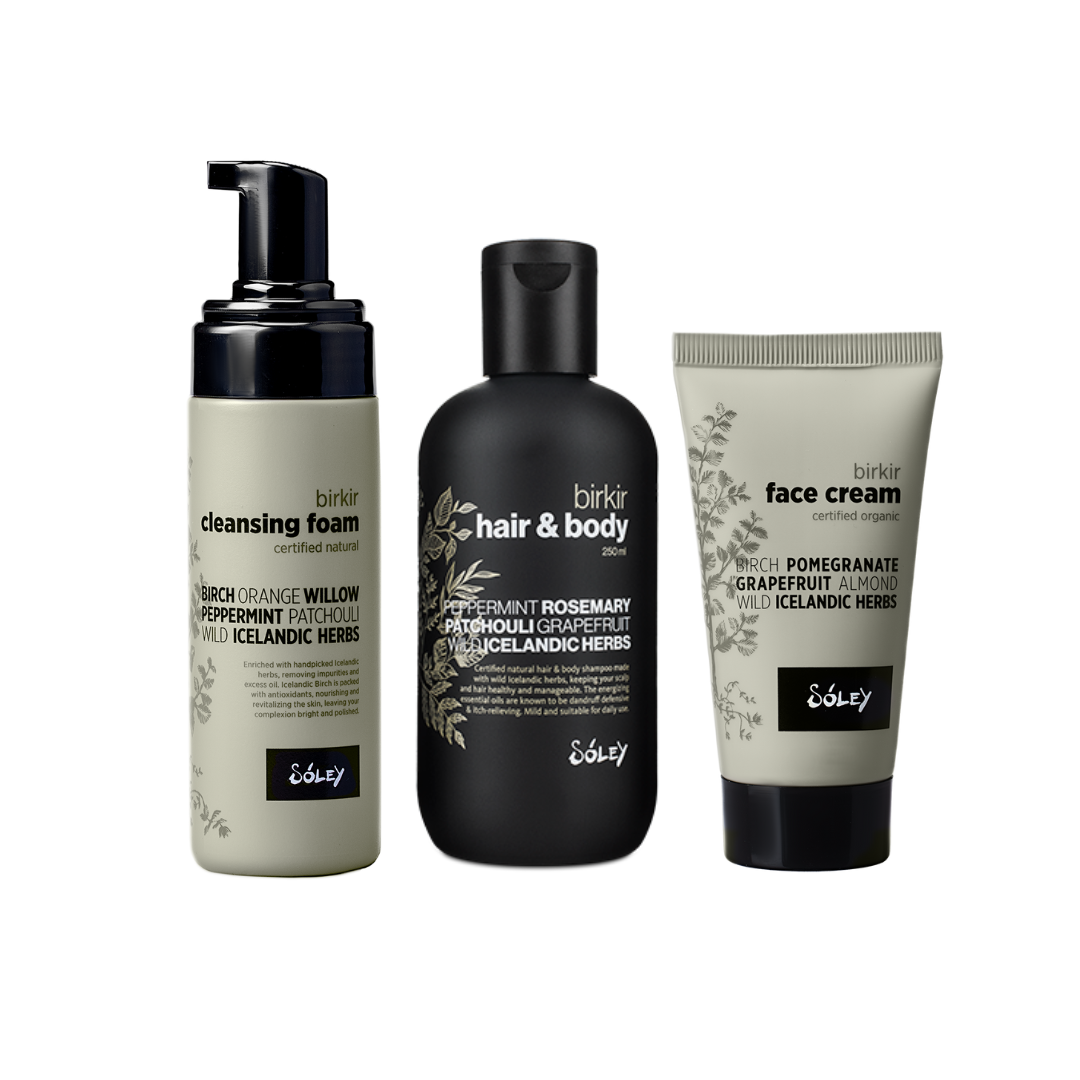 Birkir Trio – The Energizing Set