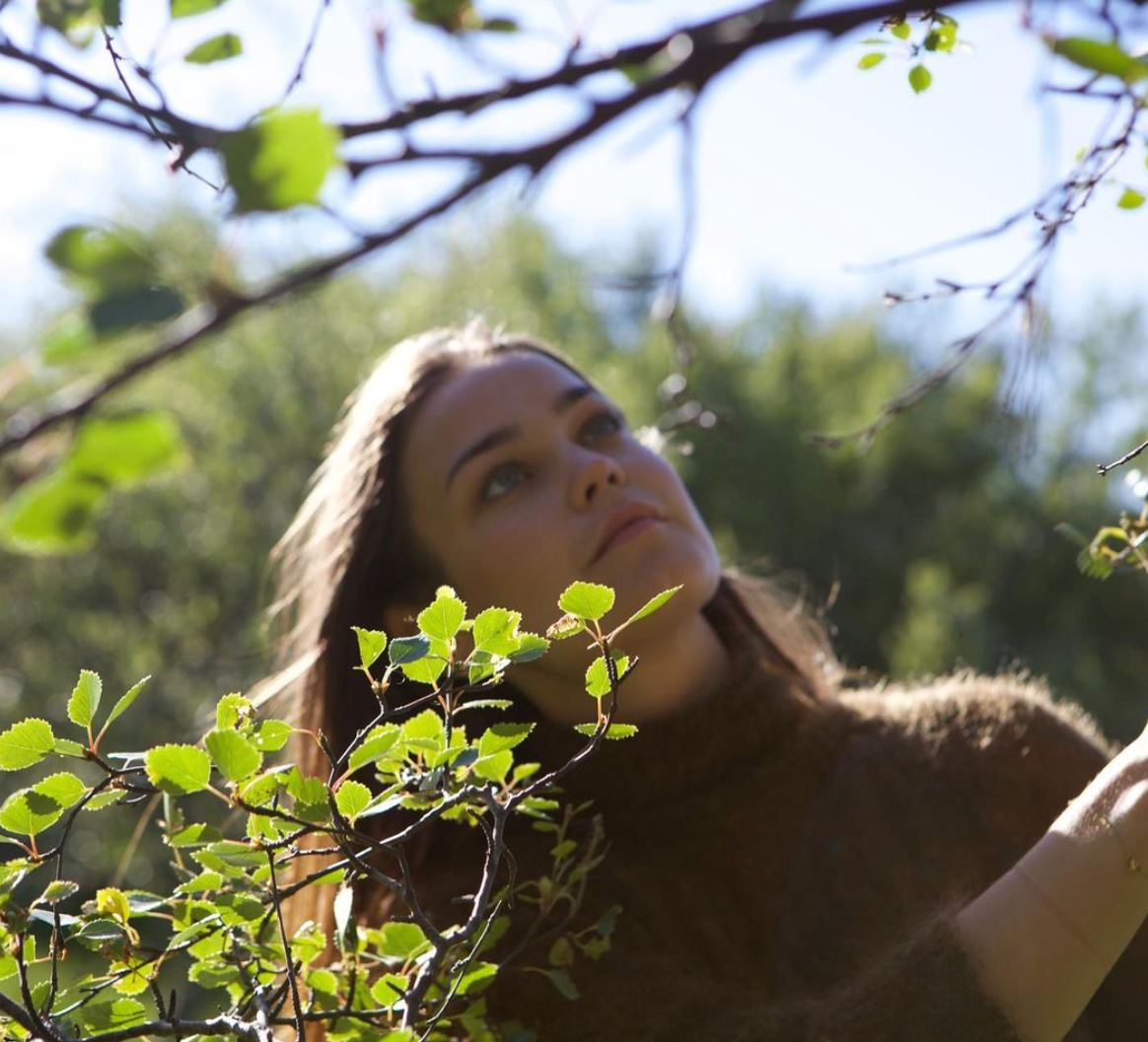 The Healing Power Of Forest Bathing – Sóley Organics