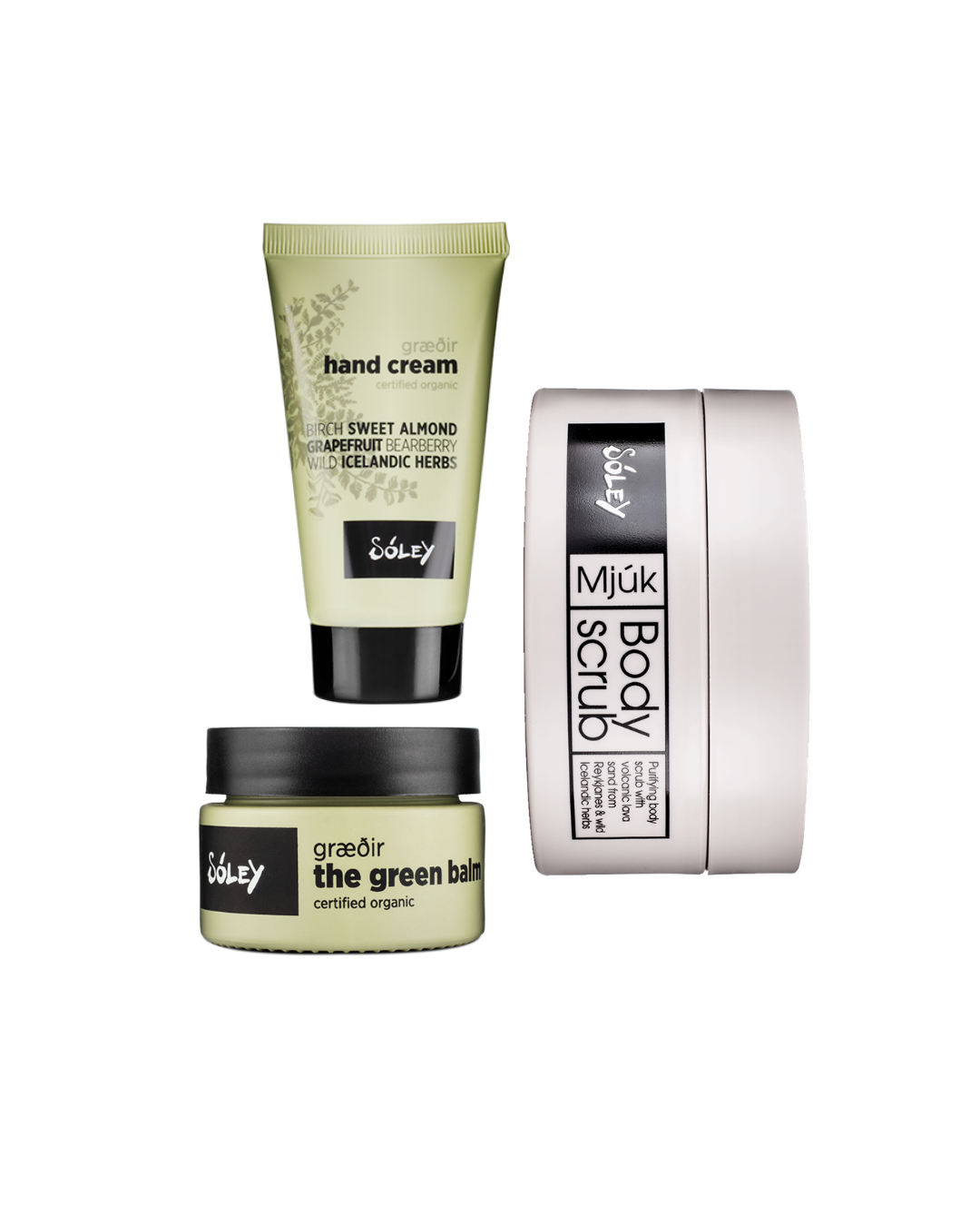 The Body Ritual
